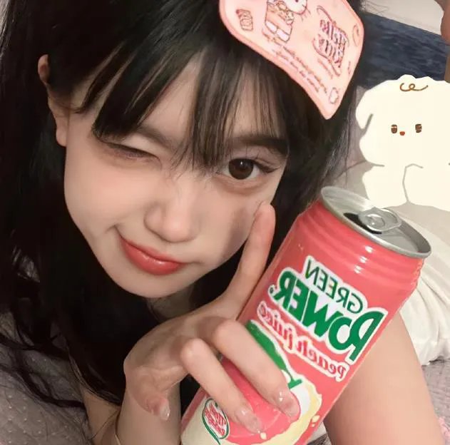 葛莱哥里的女友 海报