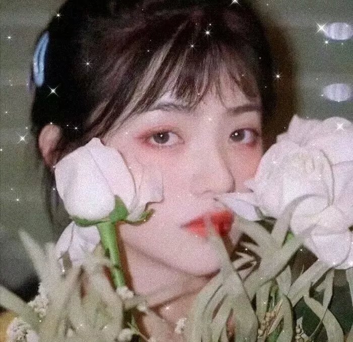 轻音少女第二季 海报